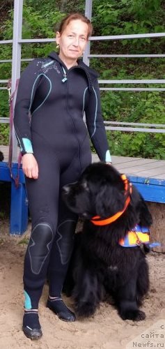 Фото: Antonina CHigvinceva (Антонина Чигвинцева), ньюфаундленд Toptyzhka Galatea Morskaya Nereida (Топтыжка Галатея Морская Нереида)