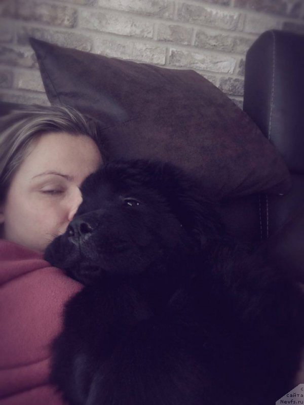 Фотография № 220244