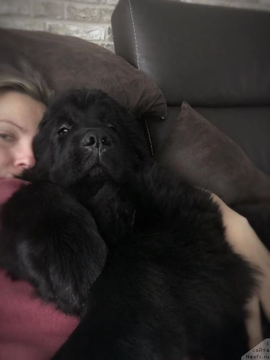 Фотография № 220245