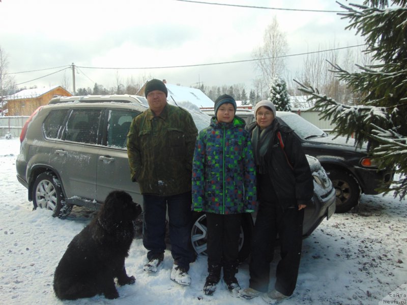 Фото: ньюфаундленд Tsentr Mirozdaniya iz Arkaima (Центр Мироздания из Аркаима), Marina Volkova (Марина Волкова)