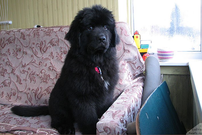 Фотография № 220256