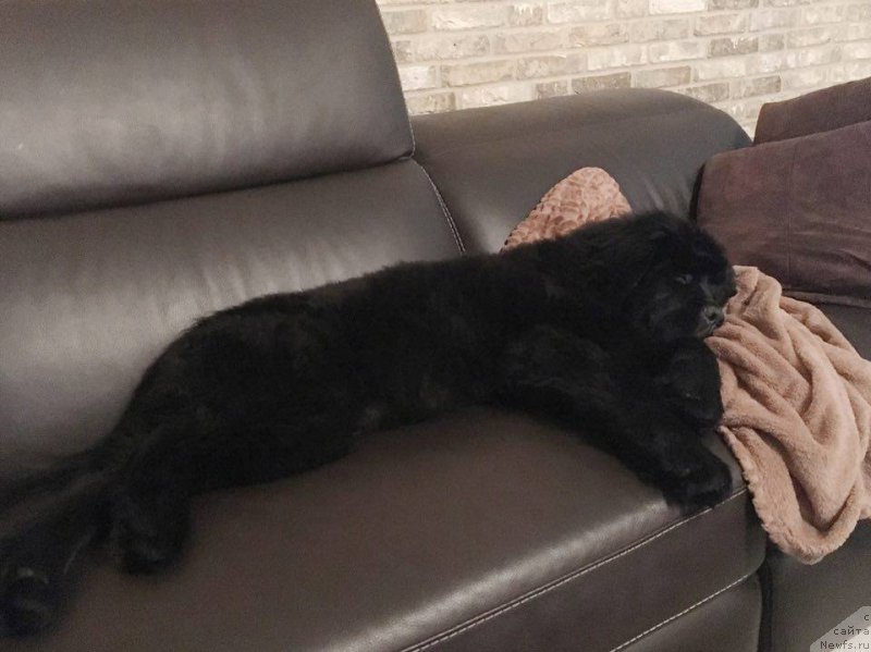 Фотография № 220297