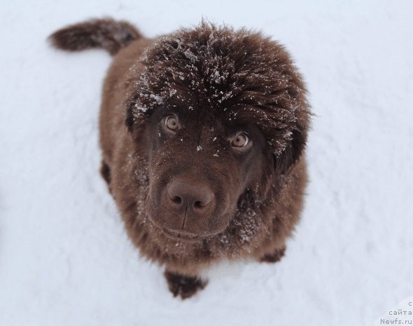 Фотография № 220316