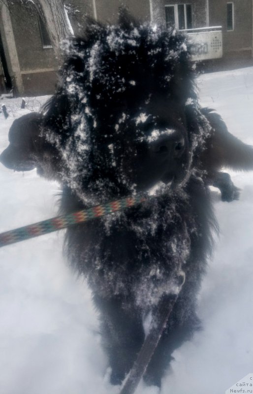 Фотография № 220317