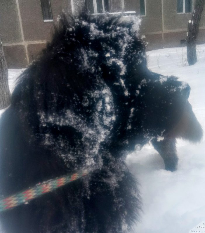 Фотография № 220318