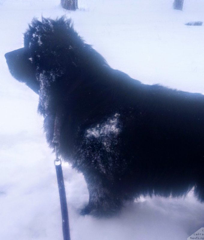 Фотография № 220319