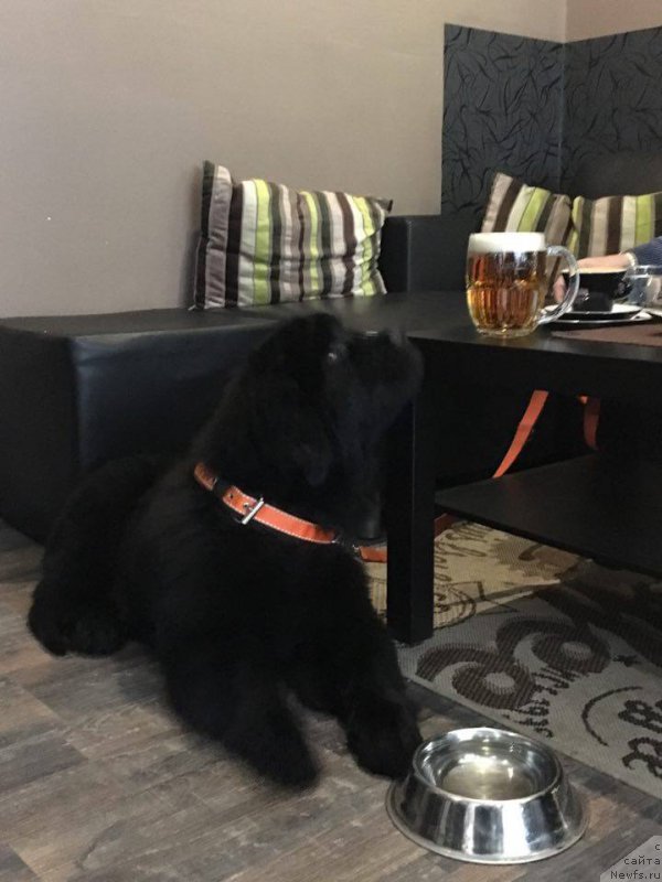 Фотография № 220321