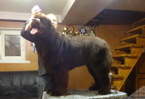 Фотография № 220325