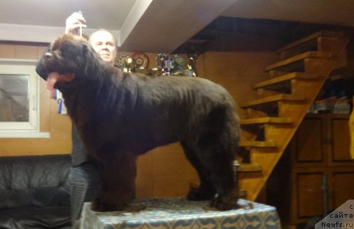 Фотография № 220326