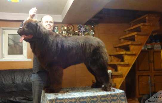 Фотография № 220327