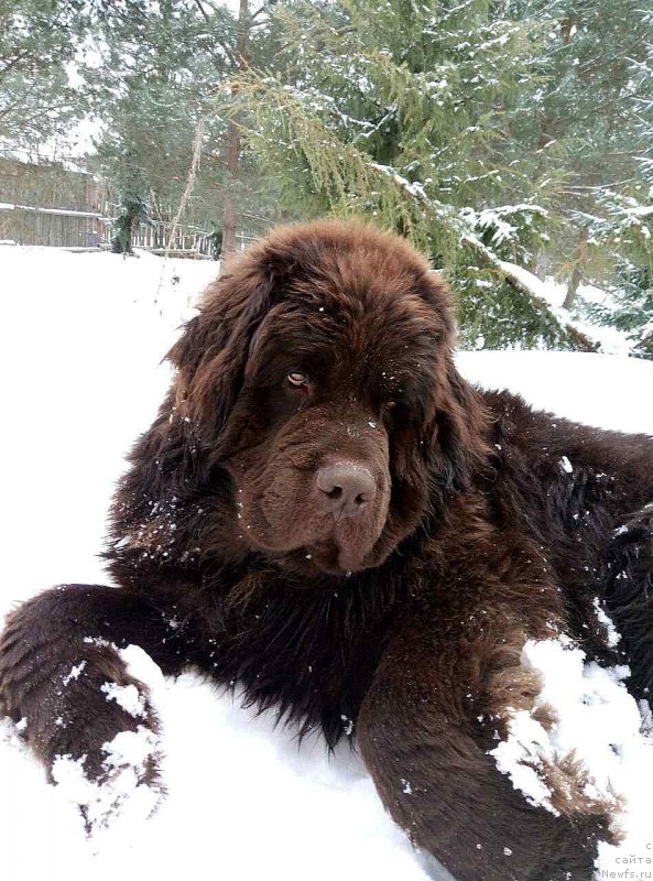 Фотография № 220328