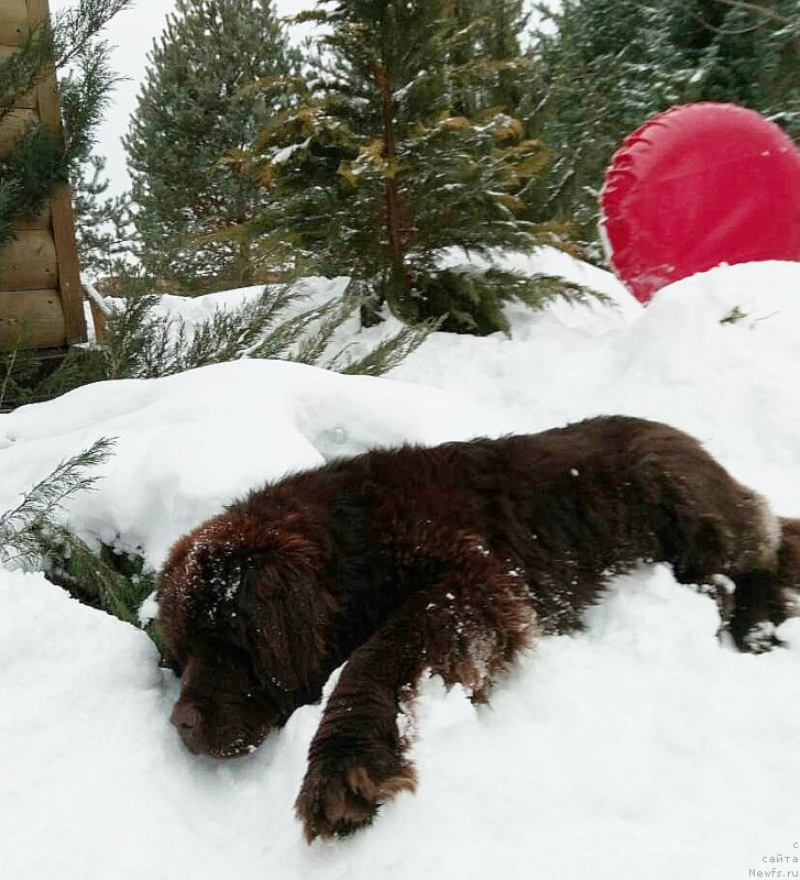 Фотография № 220334