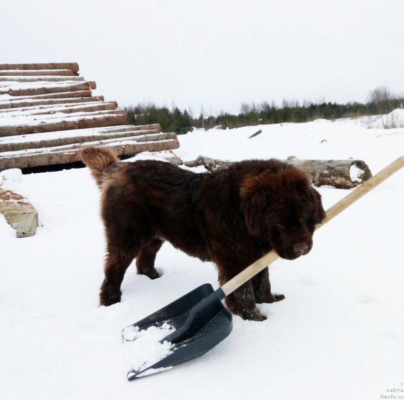 Фотография № 220335