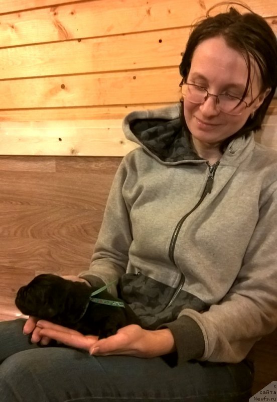 Фотография № 220342