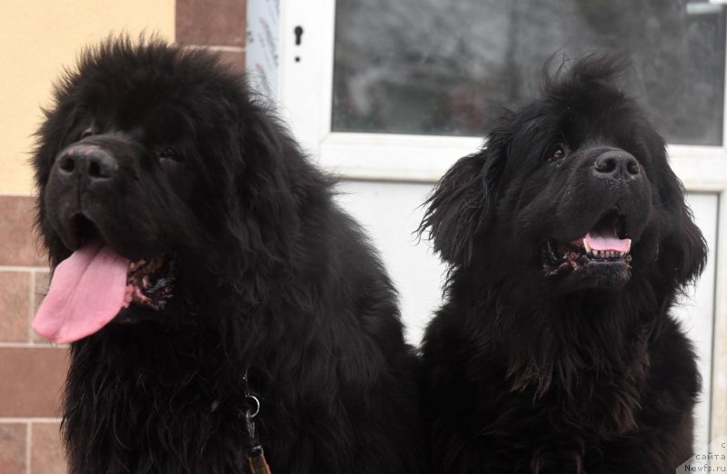 Фотография № 220351