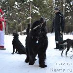 Фотография № 220417