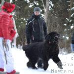 Фотография № 220420