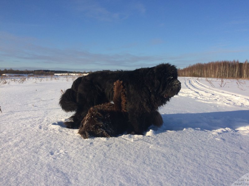 Фотография № 220426