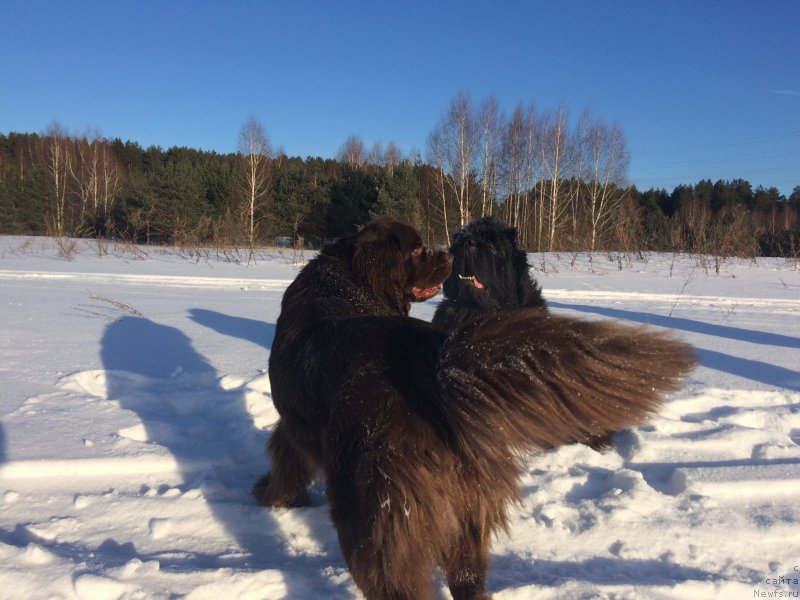 Фотография № 220427