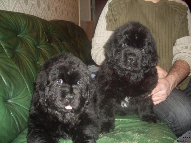 Фотография № 22047