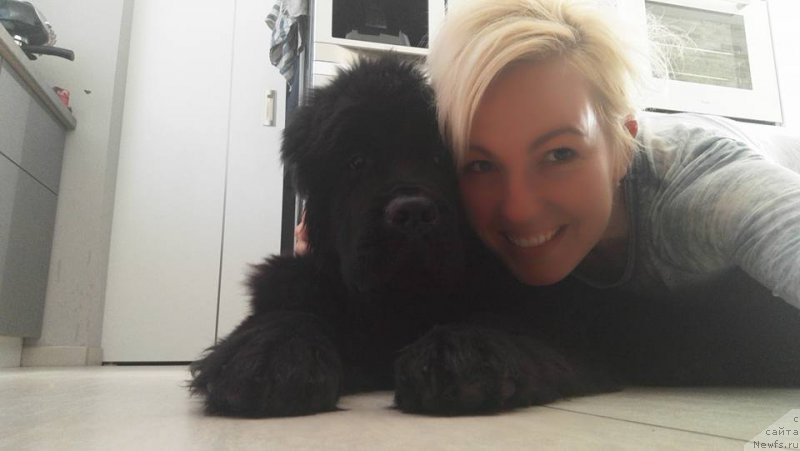 Фотография № 220472