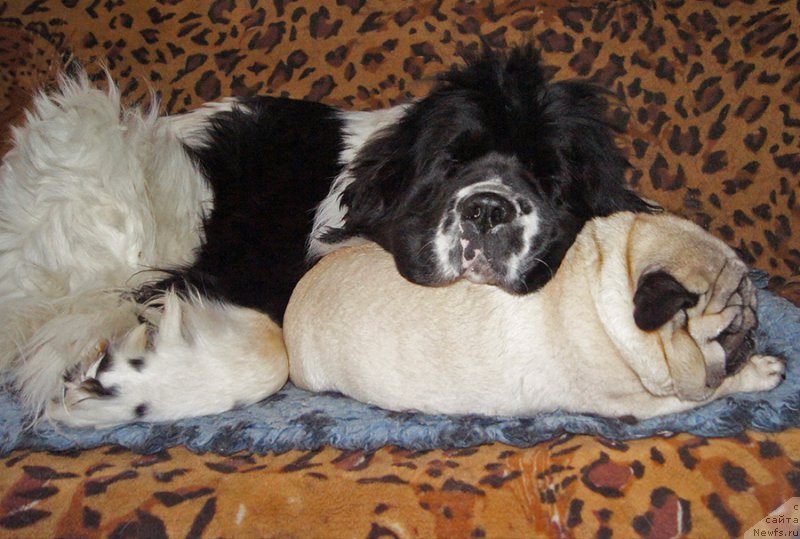 Фотография № 220474