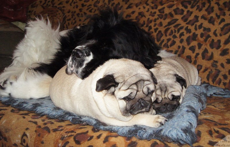 Фотография № 220475