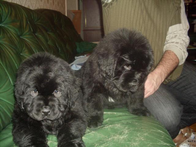 Фотография № 22049