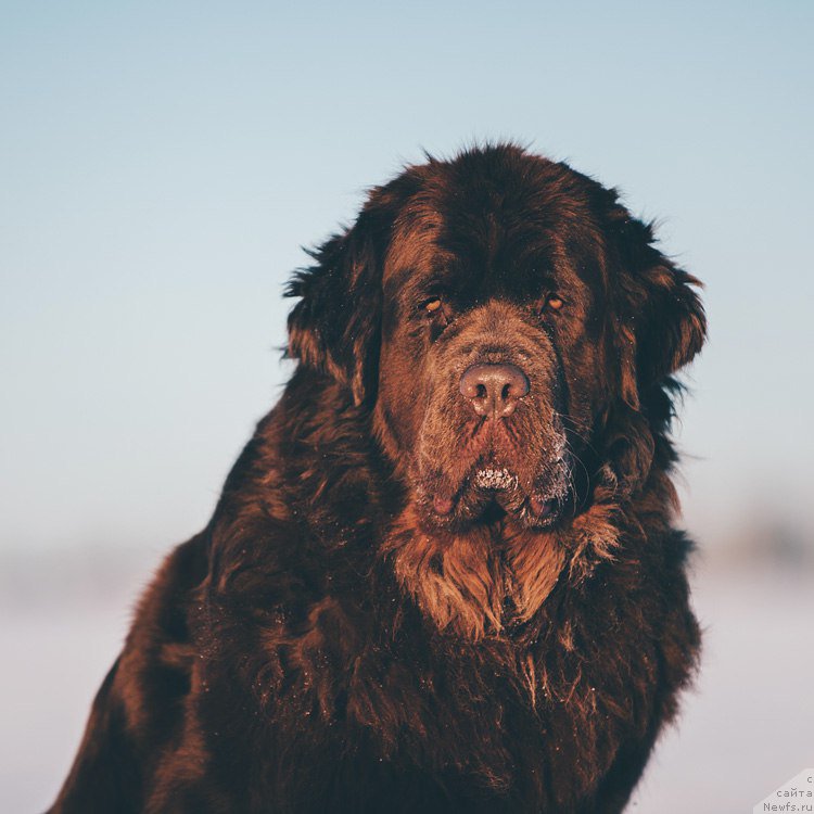 Фотография № 220517