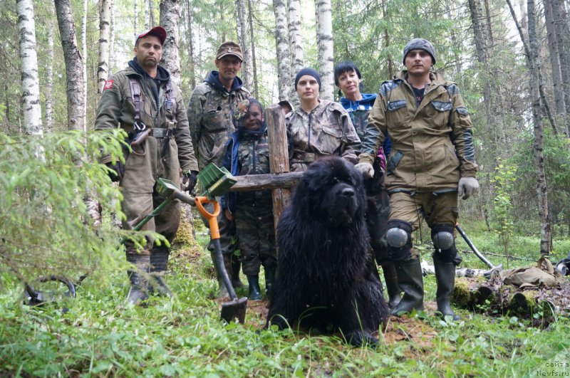 Фотография № 220562