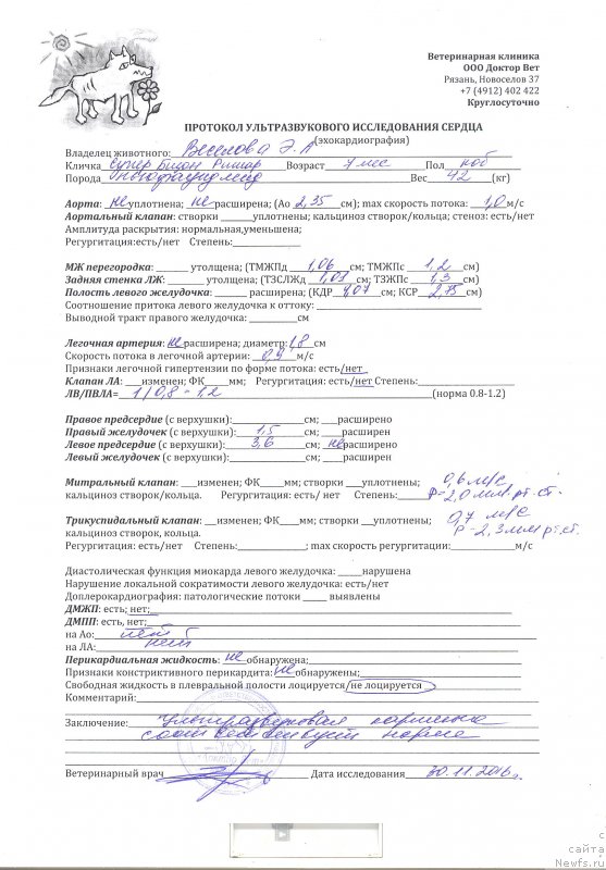 Фото: ньюфаундленд Super Bizon Rishar (Супер Бизон Ришар)