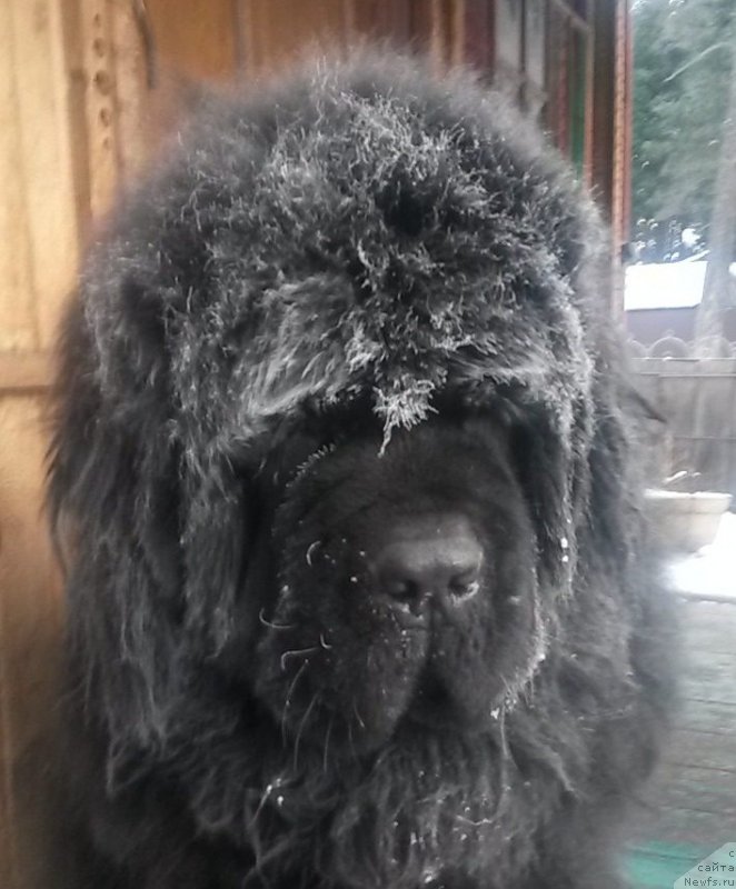 Фотография № 220565