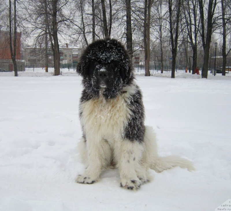 Фотография № 220609