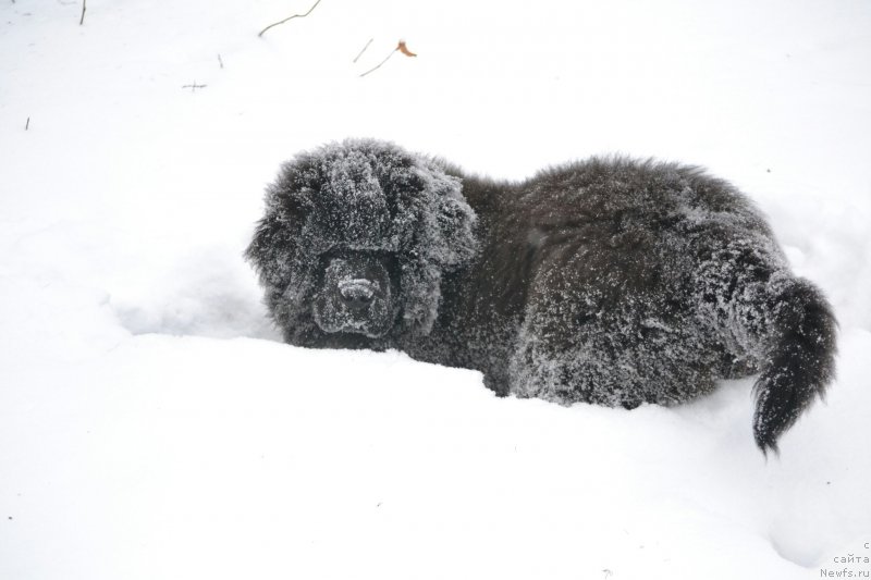 Фото: Elena Votchal (Елена Вотчал)