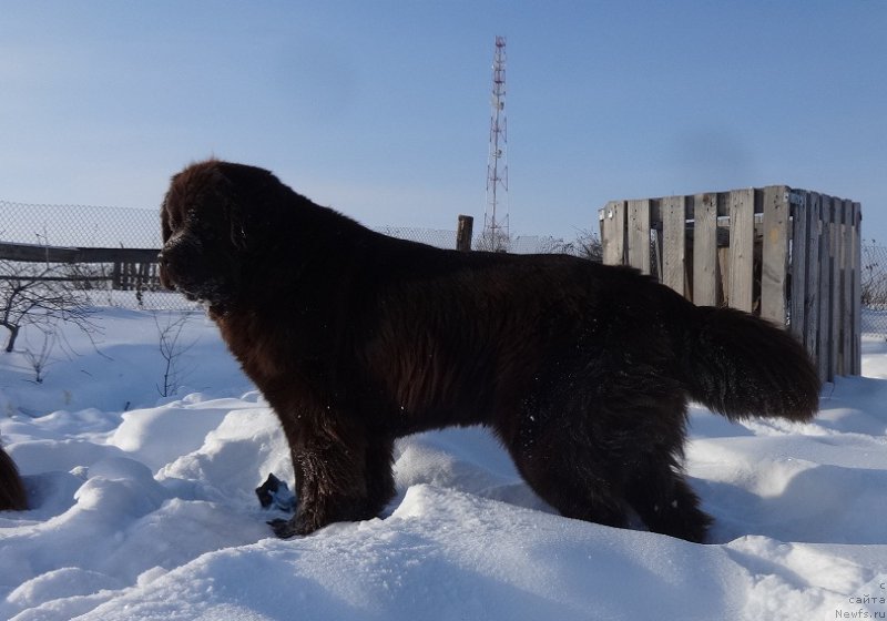 Фотография № 220638