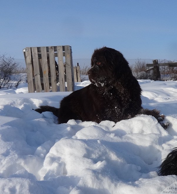 Фотография № 220640