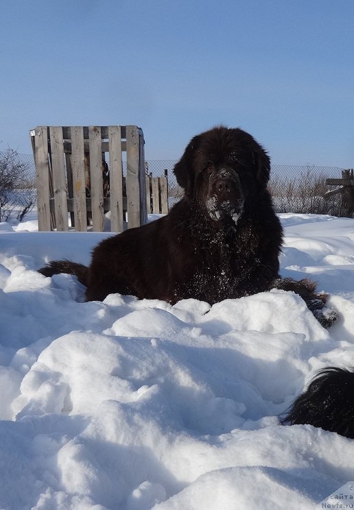 Фотография № 220641