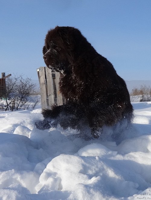 Фотография № 220642