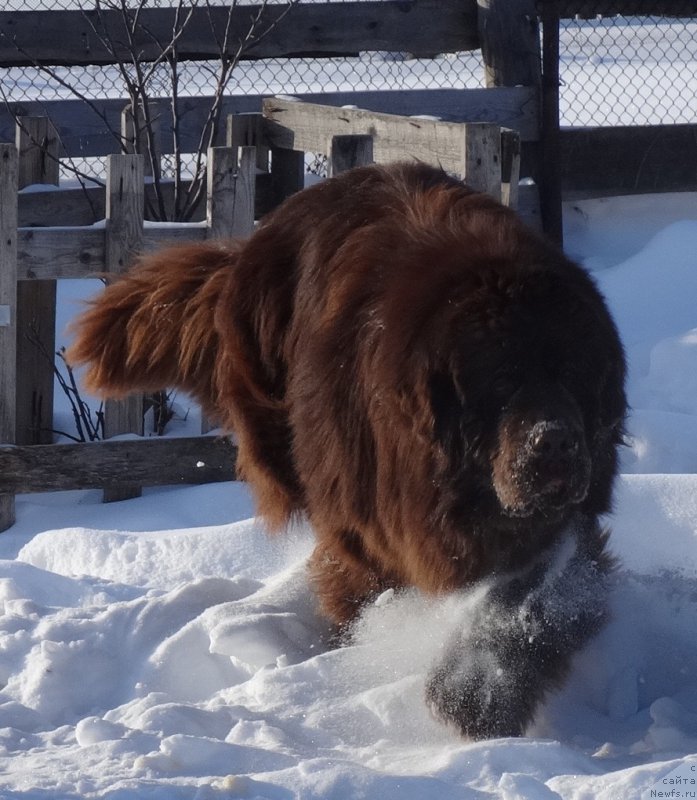 Фотография № 220647