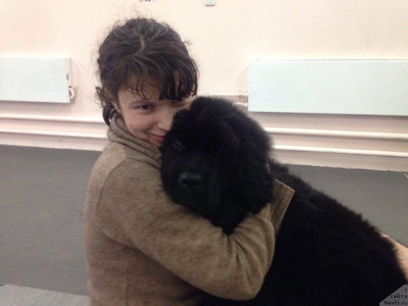 Фотография № 220686