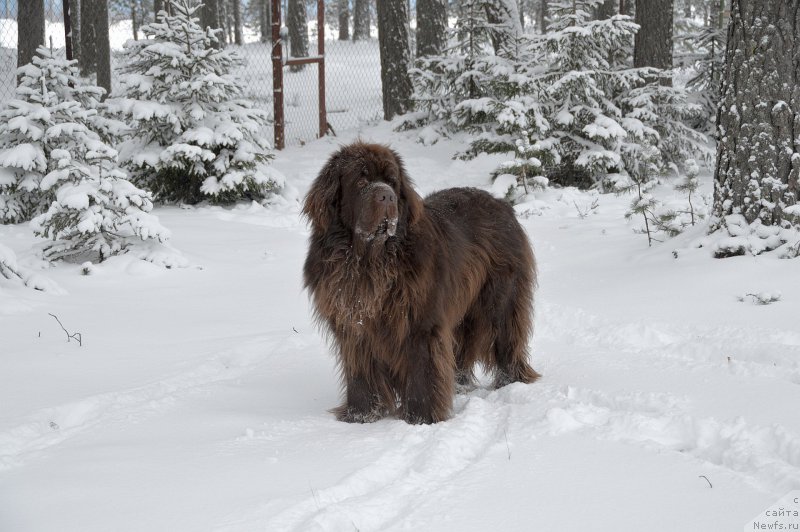 Фотография № 220690