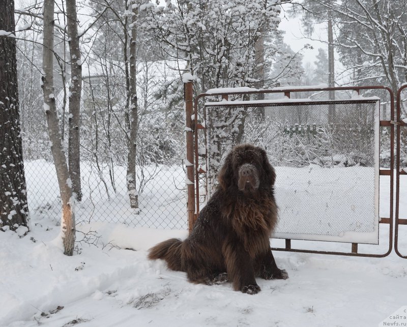 Фотография № 220691