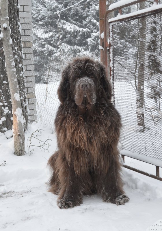 Фотография № 220692