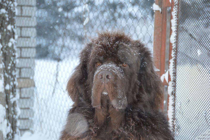 Фотография № 220693