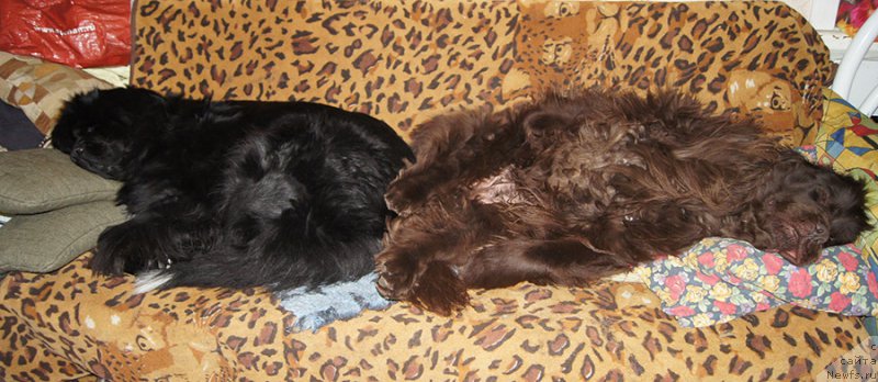 Фотография № 220694