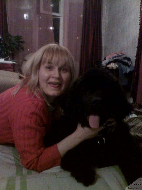 Фото: ньюфаундленд Plyushevaya Panda Mister Iks (Плюшевая Панда Мистер Икс)