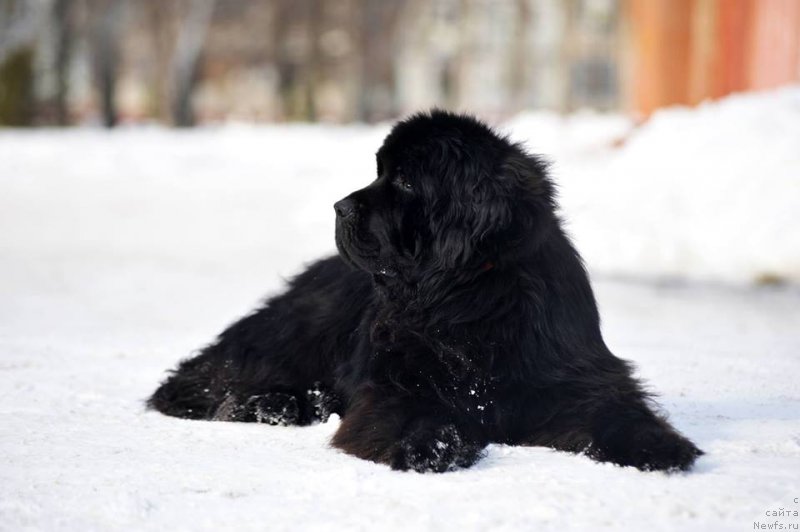 Фотография № 220721