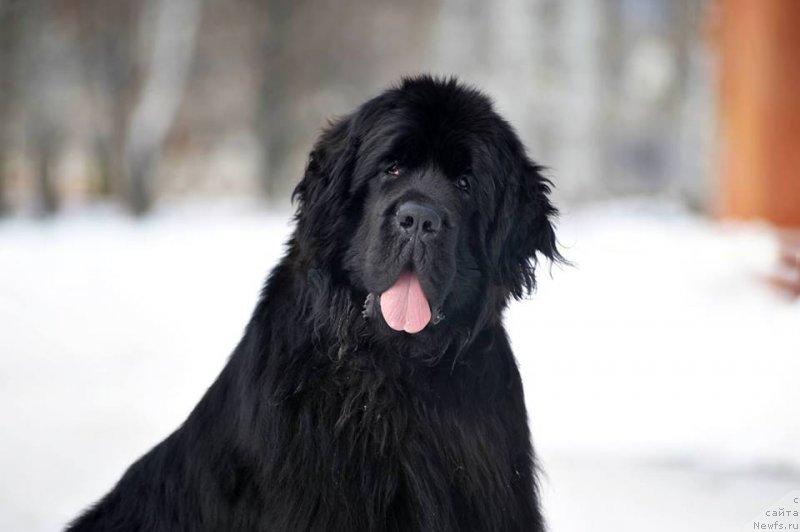 Фотография № 220722