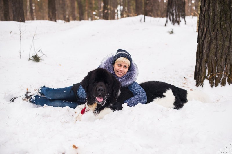 Фотография № 220728