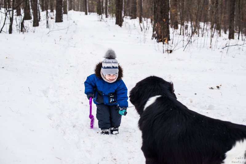 Фотография № 220730